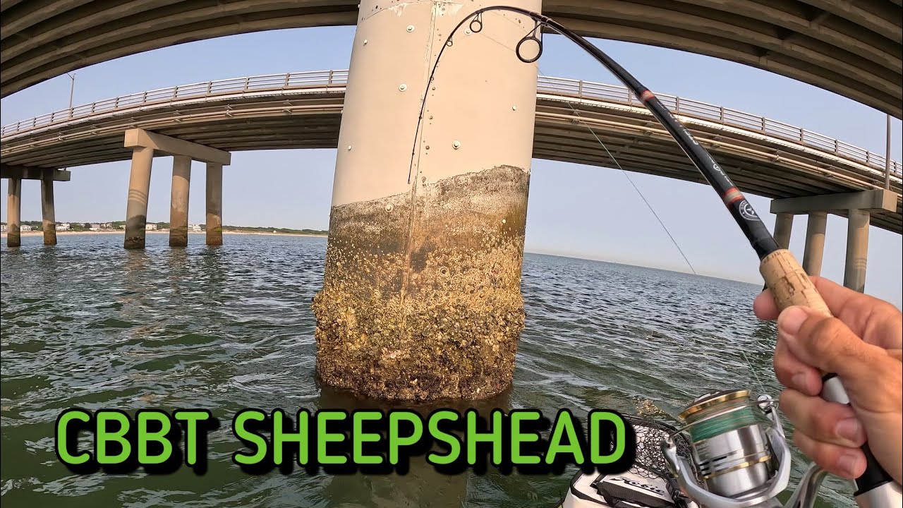 Kayak Fishing CBBT for MONSTER Sheepshead - Chesapeake Bay Bridge