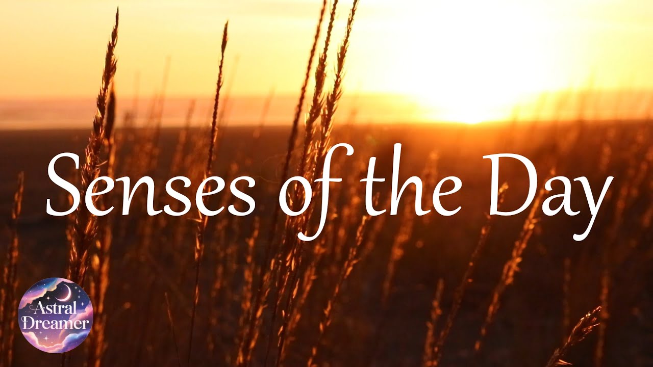 Calming Music for Anxiety, Relaxation, Stress, Study, Yoga - Senses of the Day