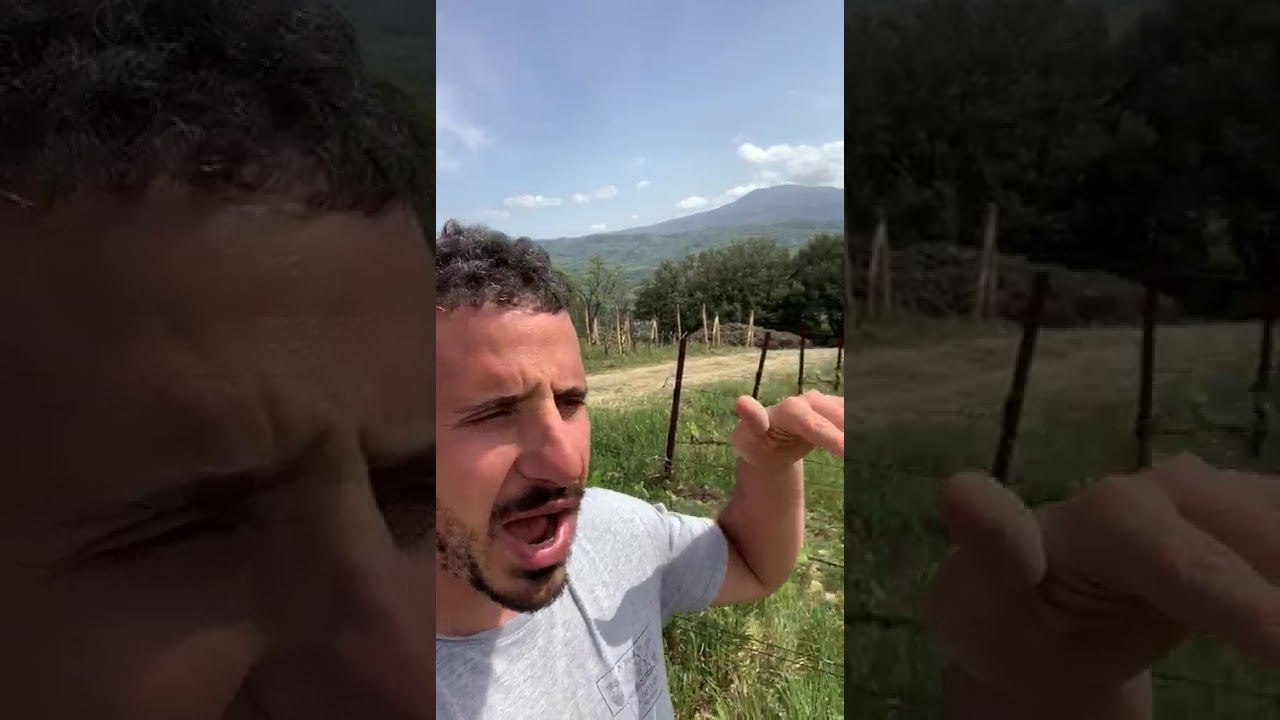 Podere Le Ripi Amore e Magia 2015
