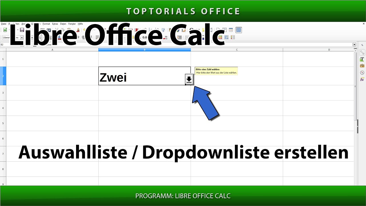 Auswahlliste / Dropdownliste erstellen (LibreOffice Calc)