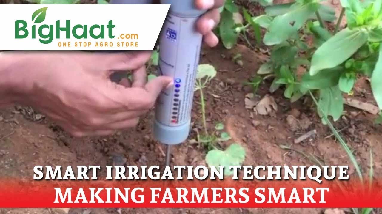 Soil Moisture Indicator | BigHaat
