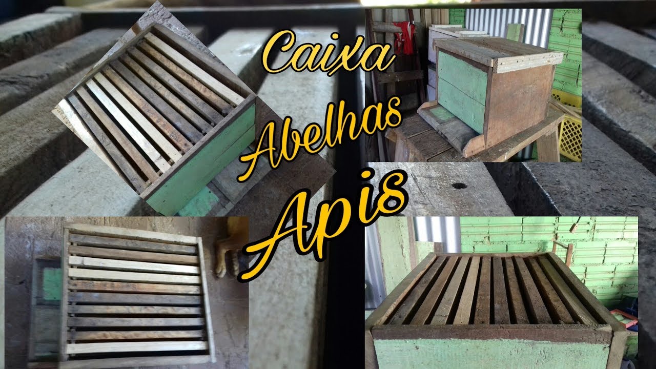 Como fazer caixa de abelhas apis (padrão langstroth)