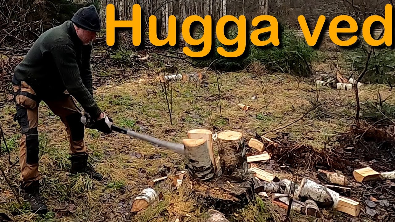 Hugga ved (köra in ved med Massey Ferguson MF35)