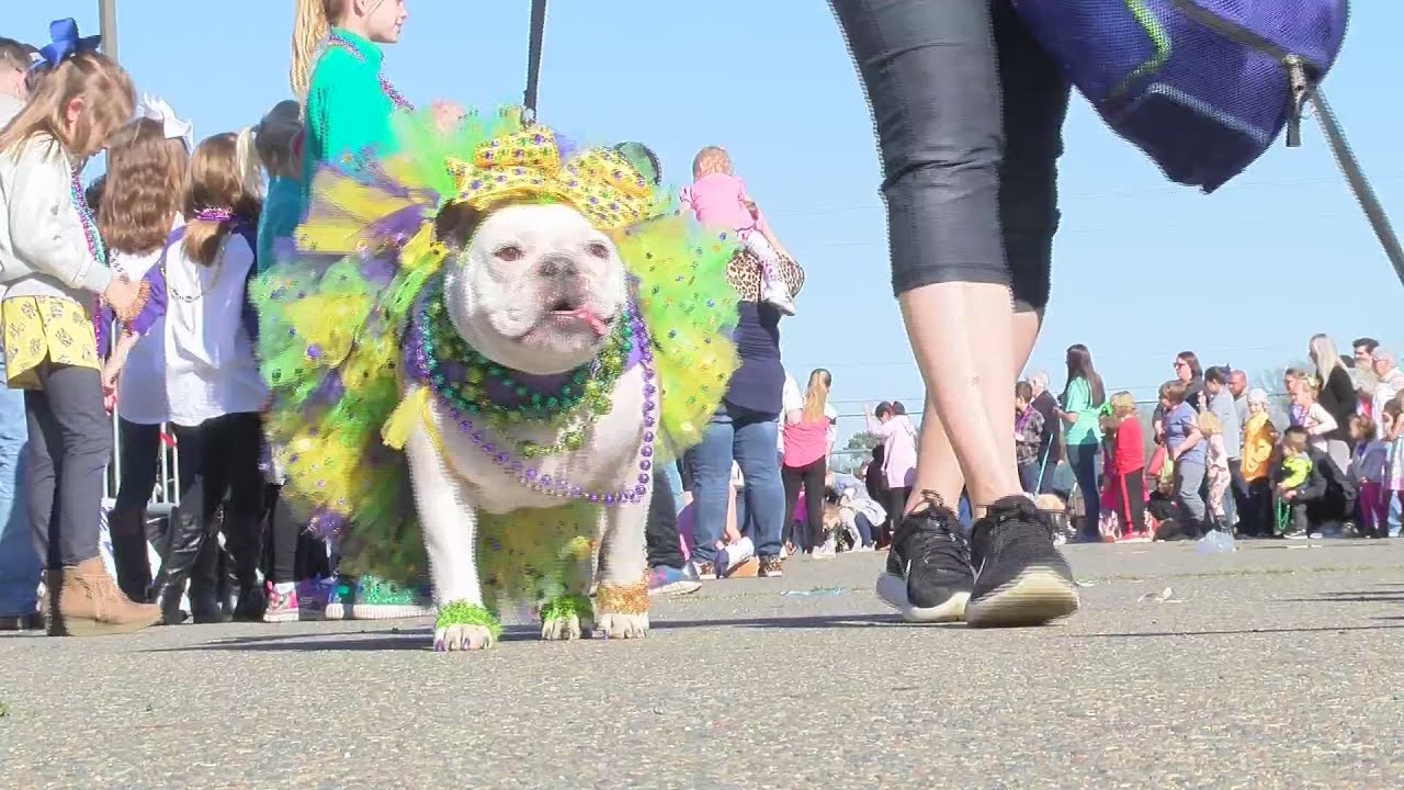 Krewe of Barkus and Meoux