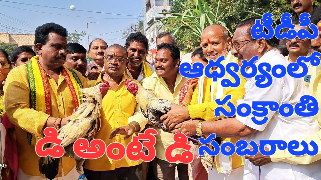 Sankranthi celebrations are grand under the auspices of Bhimavaram TDP, under the auspices of Maddula Ramu