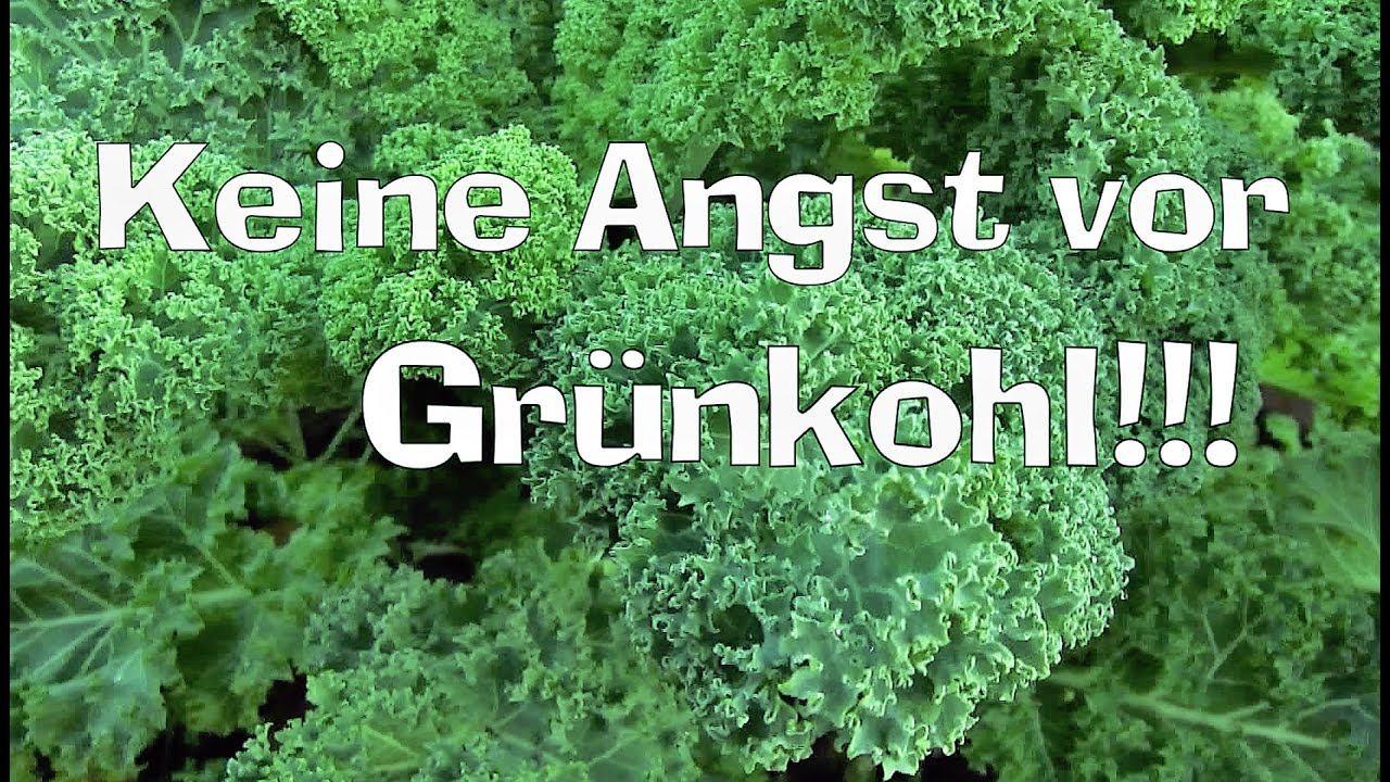Grünkohl vom BAUKASTENHOCHBEET zubereiten + Sellerie  Film 66