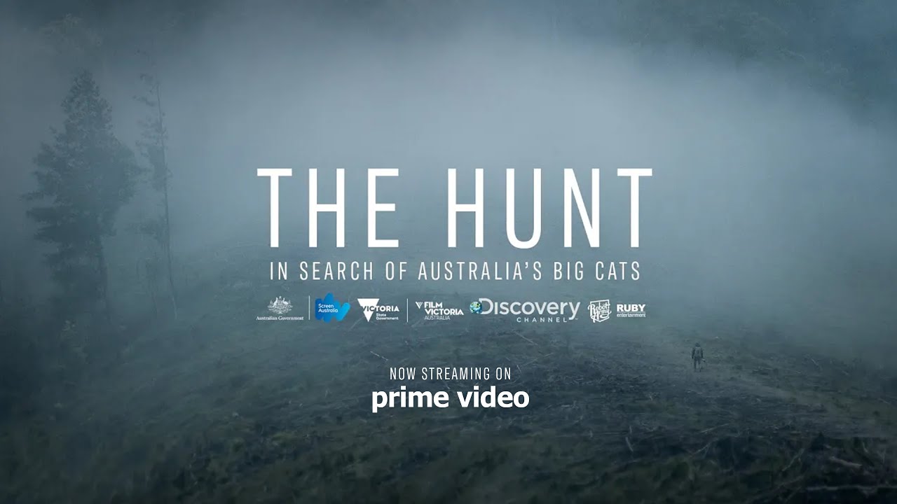 The Hunt: In Search of Australia's Big Cats | Now on Prime Video