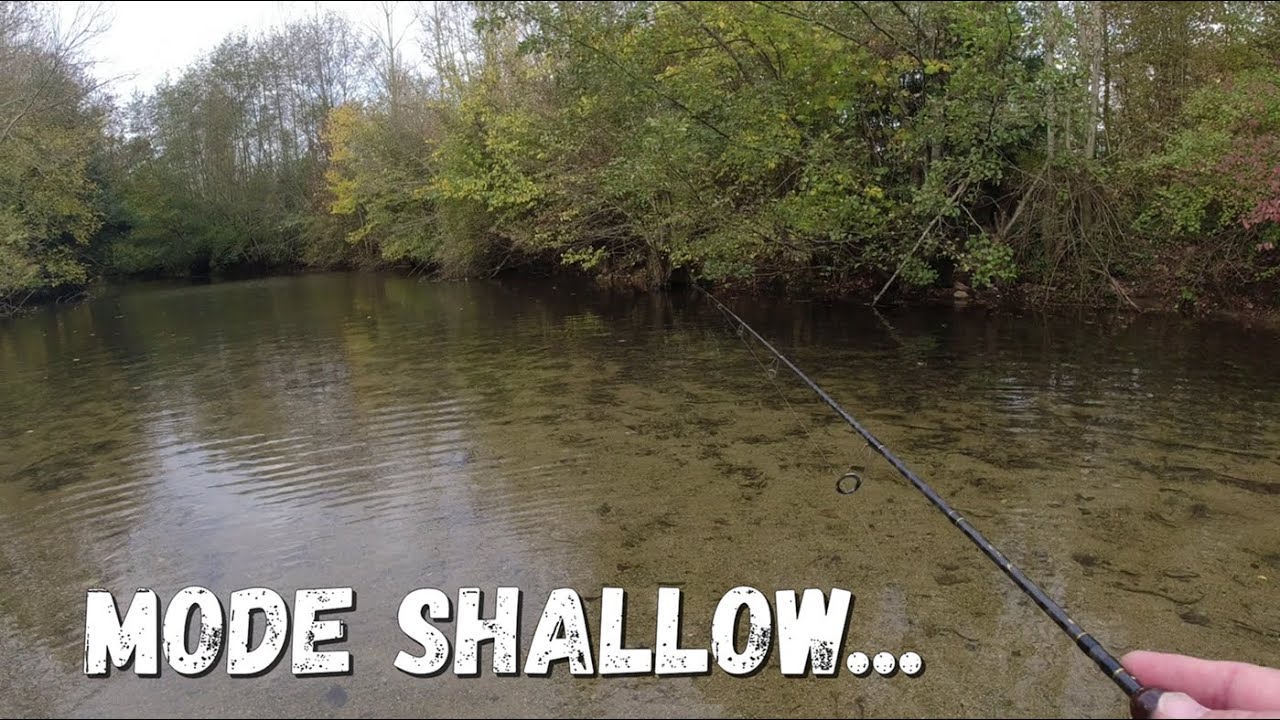Le mode SHALLOW est-il ADAPTÉ pour les CUILLÈRES tournantes?