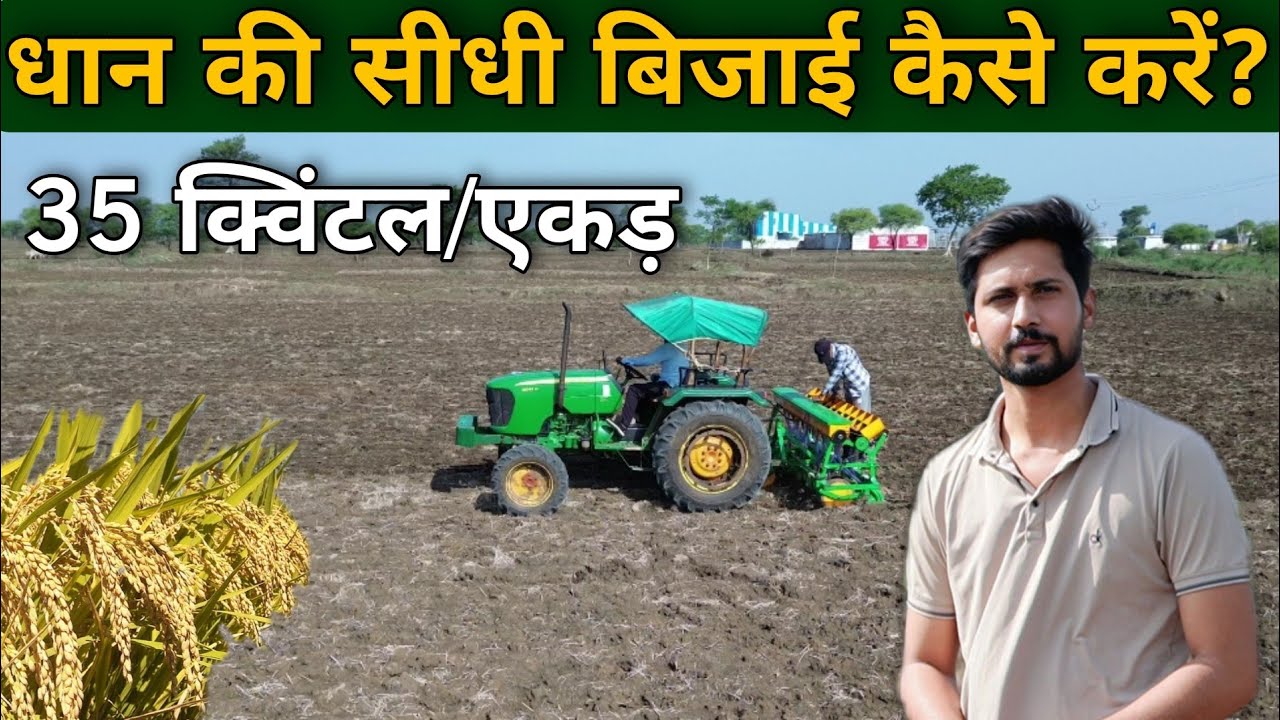 धान की सीधी बिजाई कैसे करें । 35 क्विंटल उत्पादन कैसे ले?