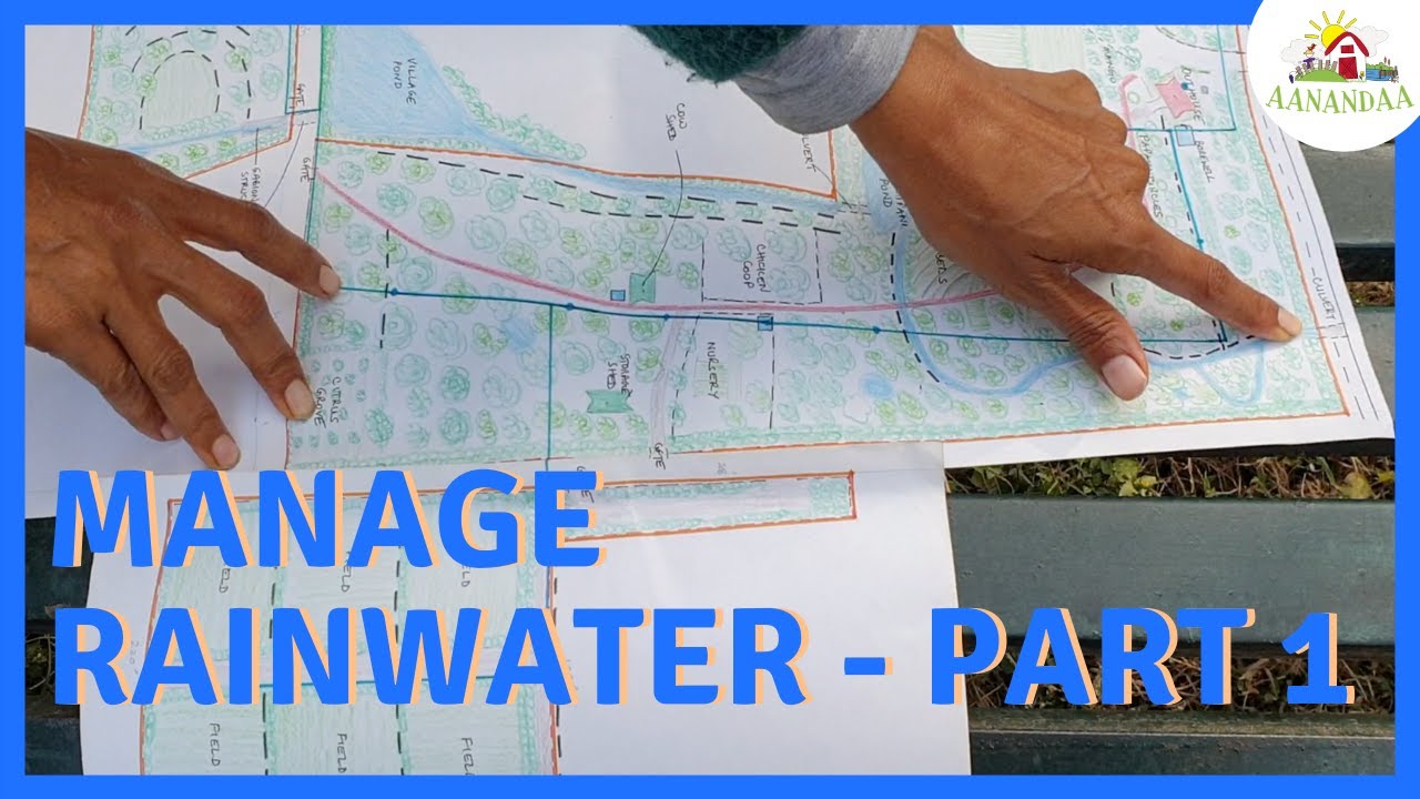How to get started with Permaculture? | RAINWATER MANAGEMENT - Part 1