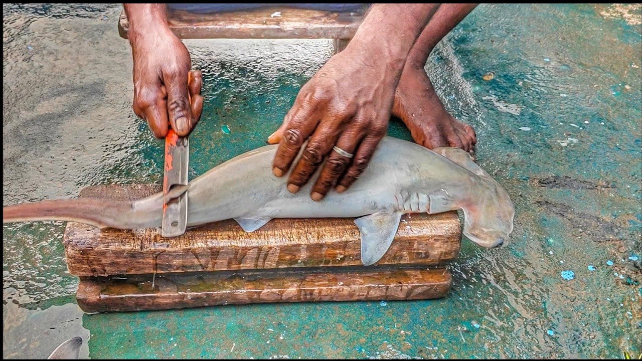 😋Wow🤤 Making Tasty and Yummy Shark Puttu in the Arabian Sea|#mandapammeenavan #seafood 