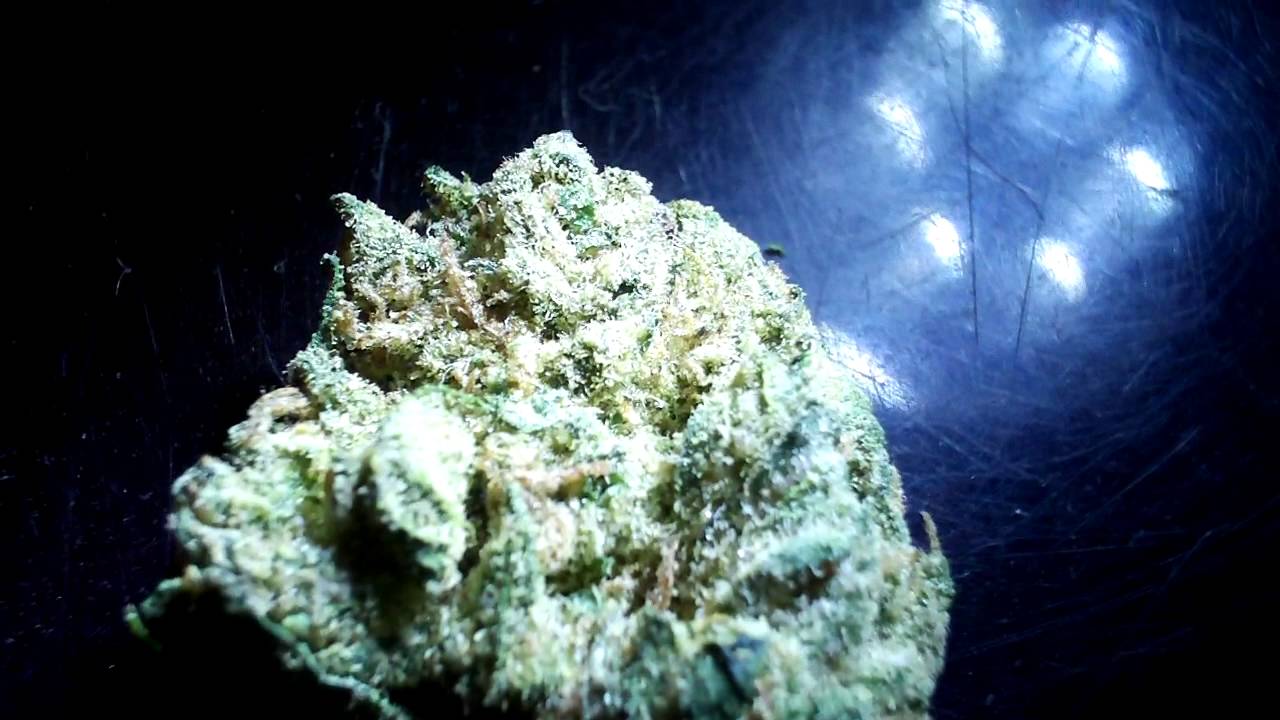 Chronic Weed Macro Shot 720p HD