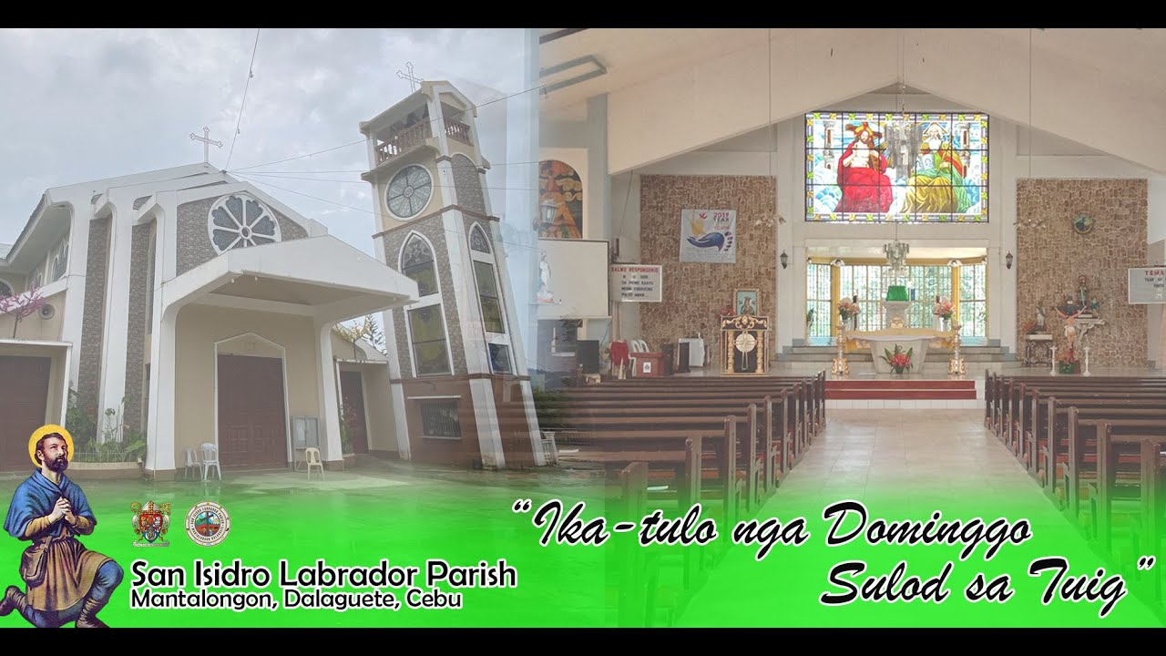 January 24, 2025 I Anticipated Mass Ikatulong Domingo sulod sa Tuig I REV FR.FR. GLICERIO TANO
