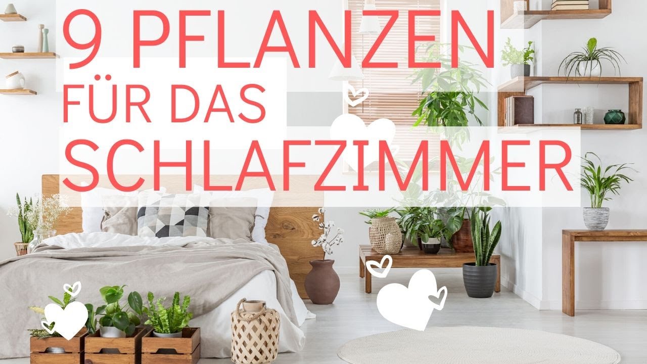 Besser schlafen mit 9 Pflanzen im Schlafzimmer für mehr Sauerstoff und bessere Luft in der Nacht