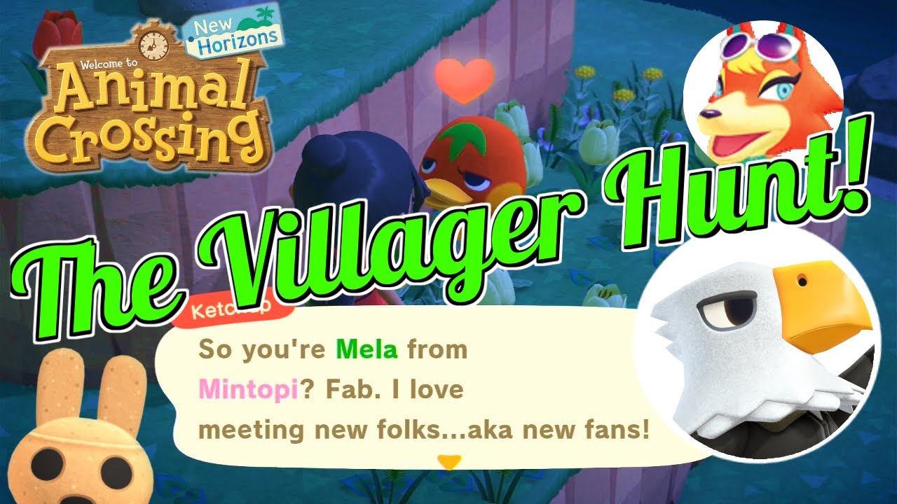 Animal Crossing - The Hunt for Apollo (or Audie)