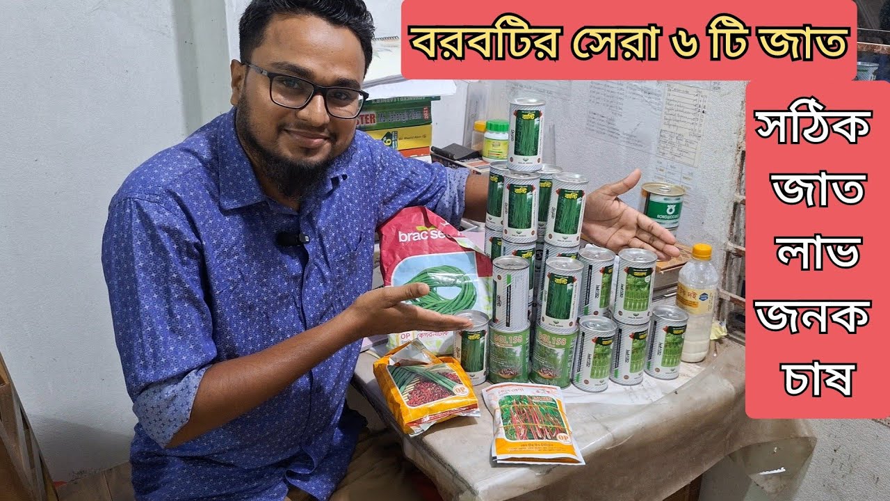 বরবটির সেরা ৬ টি জাত। বীজ পেতে: 01706369298