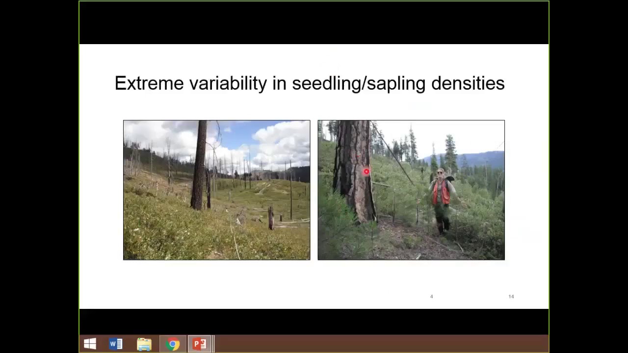 Growing up Findings from a JFSP student project on post fire conifer regeneration trajectories in ea