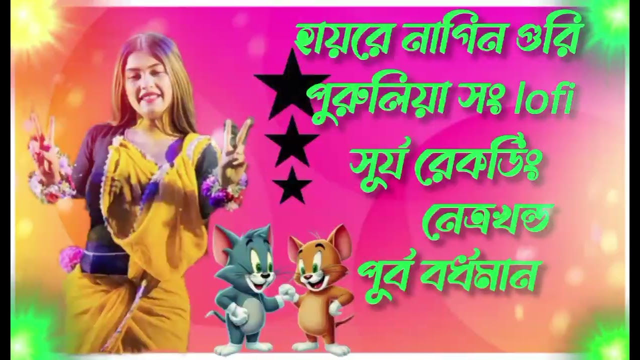 হায়রে নাগিন গুরি💞 lofi song💞