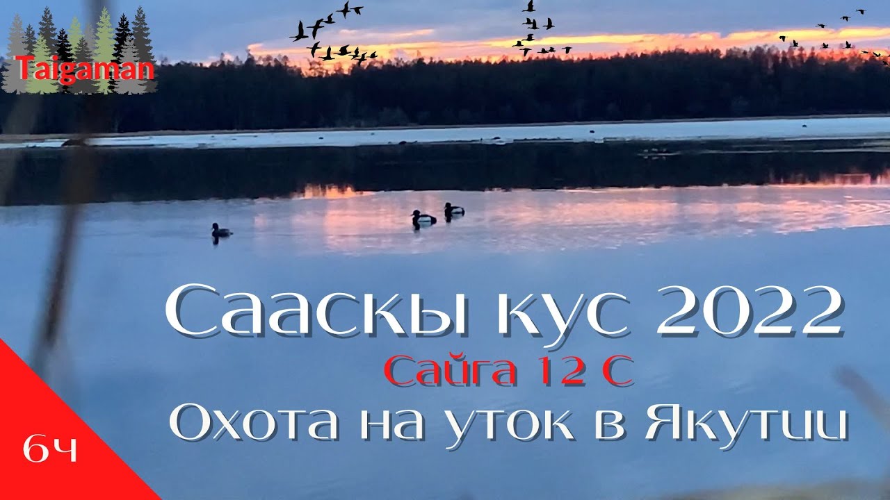 RUS|ENG Охота на уток в Якутии | Охота с Сайга 12 | Сааскы кус 2022 Сезон сабыы | Solo Duck Hunting
