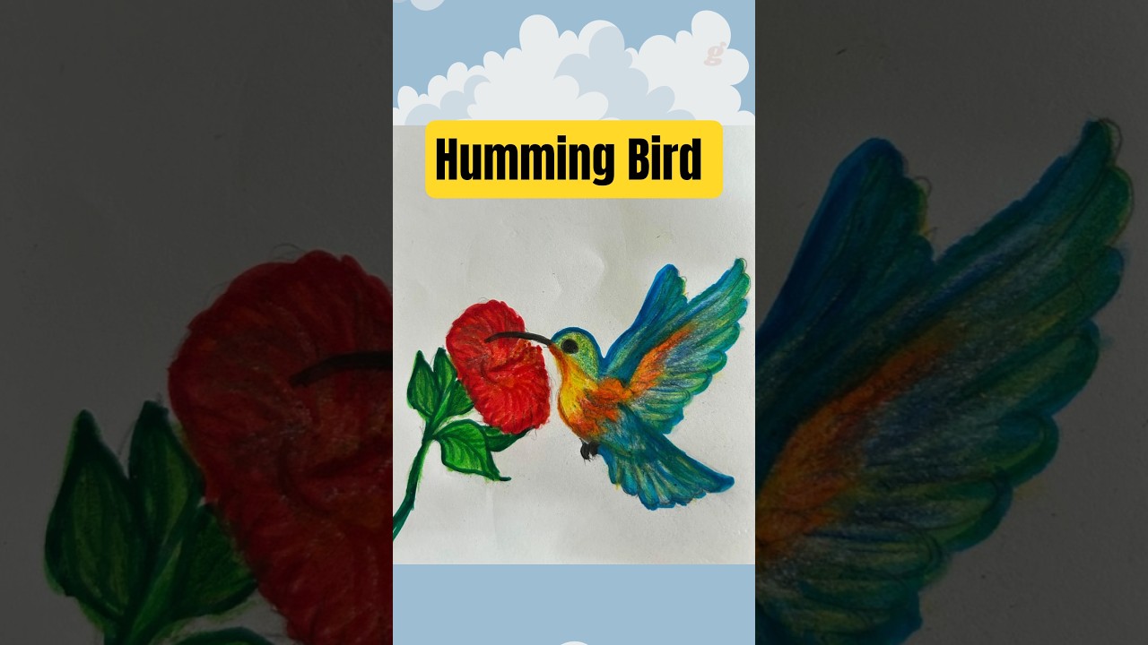 Hummingbird and Flower | Color Pencil Art / 