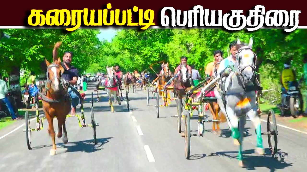 கரையப்பட்டிபெரியகுதிரை  பந்தயம் 22.10.2025