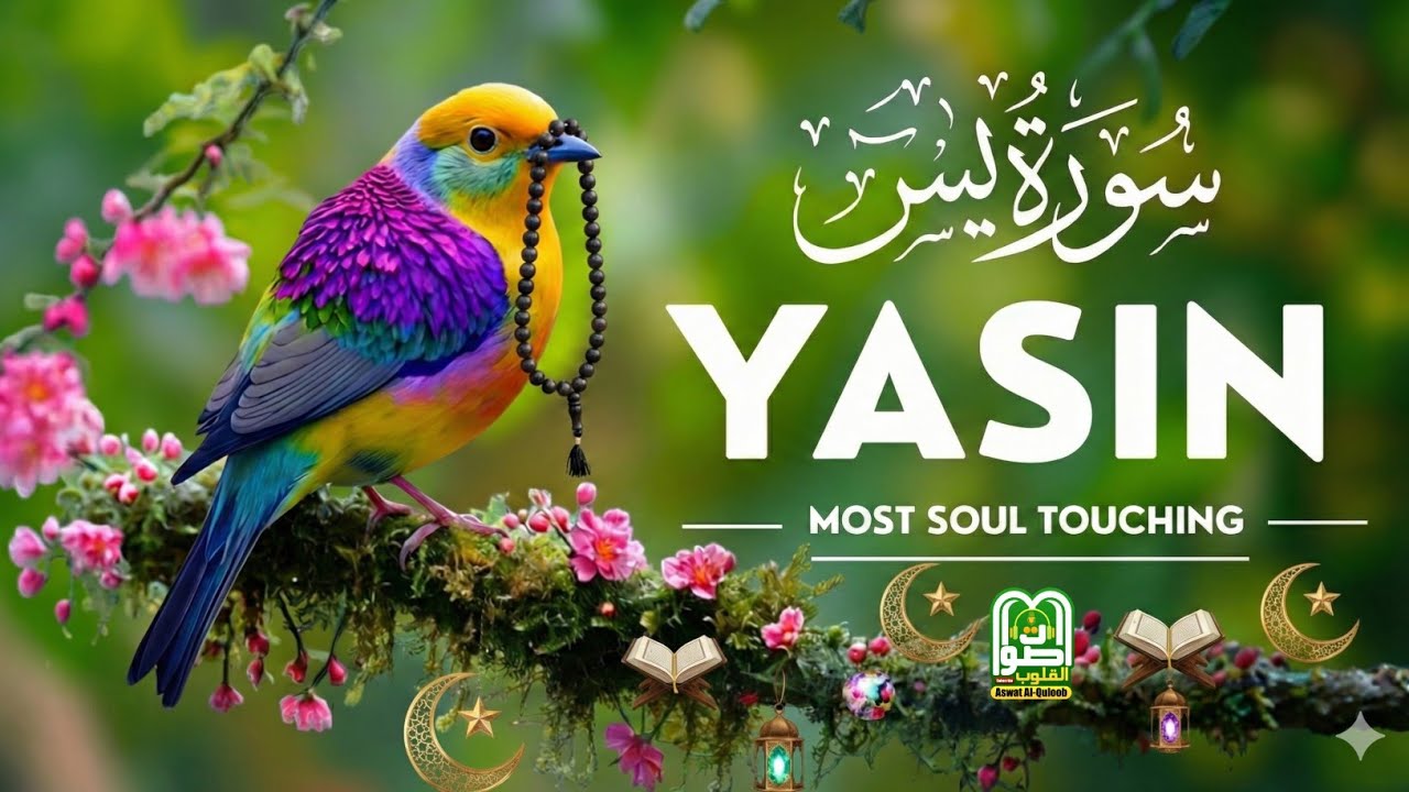 Surah Yaseen Full Recitation | Most Beautiful and Emotional Quran Tilawat | Peaceful Voice
