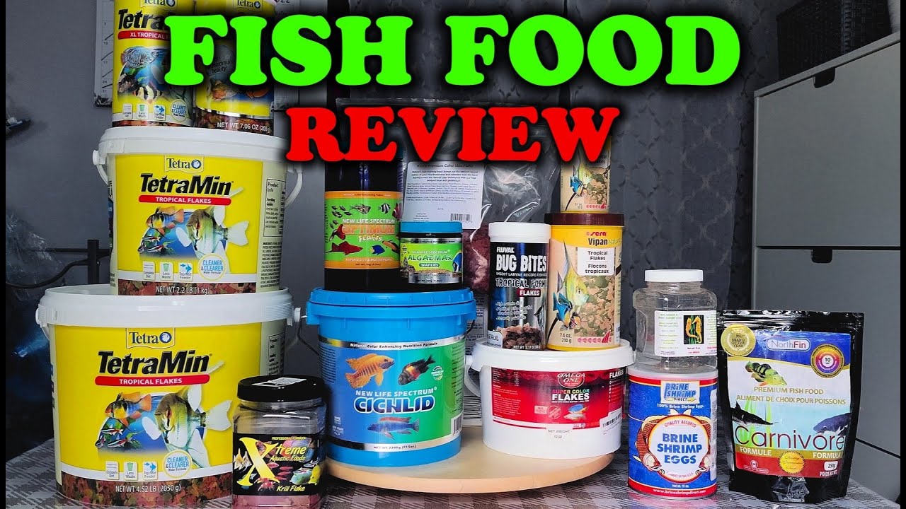 TOP BRAND FISH FOOD REVIEW, WHAT IS THE BEST FOOD?