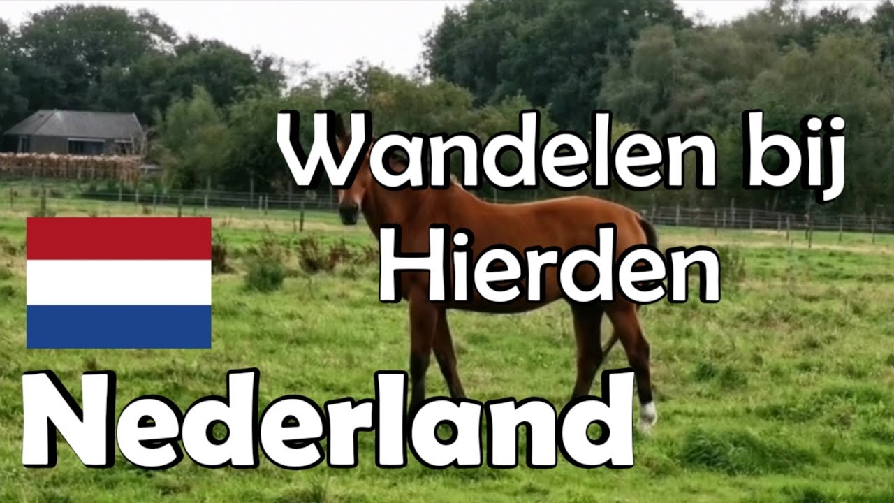 NEDERLAND Wandelen bij Hierden 9,4 km