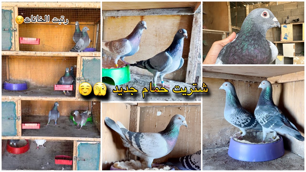 شتريت حمام ابطال تابعني اول بأول🫣شنو رايكم ترتيب الخانات والطبكات ☺️☺️