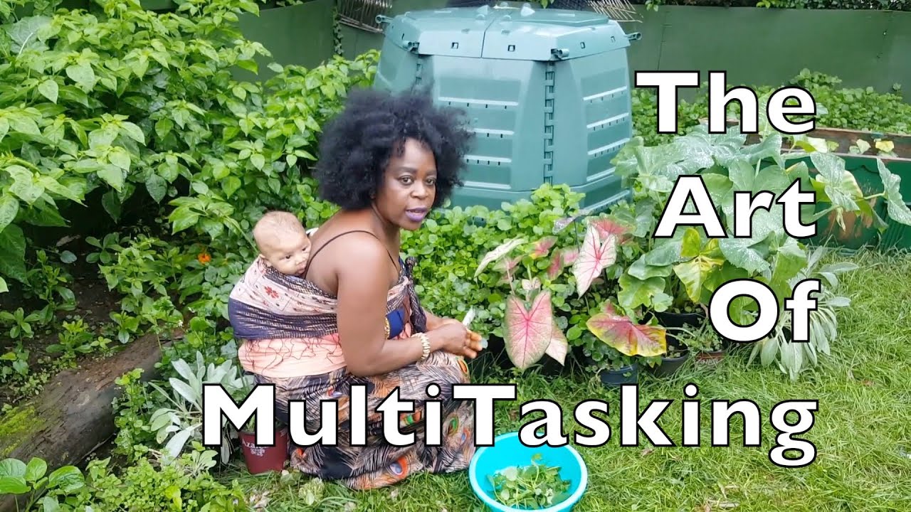 How To Cook Fufu & Eru Using Waterleaf (Part 1)