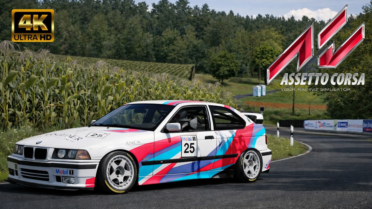 ASSETTO CORSA / BMW E36 COMPACT 2000 / BORGLOH HILLCLIMB / 4K