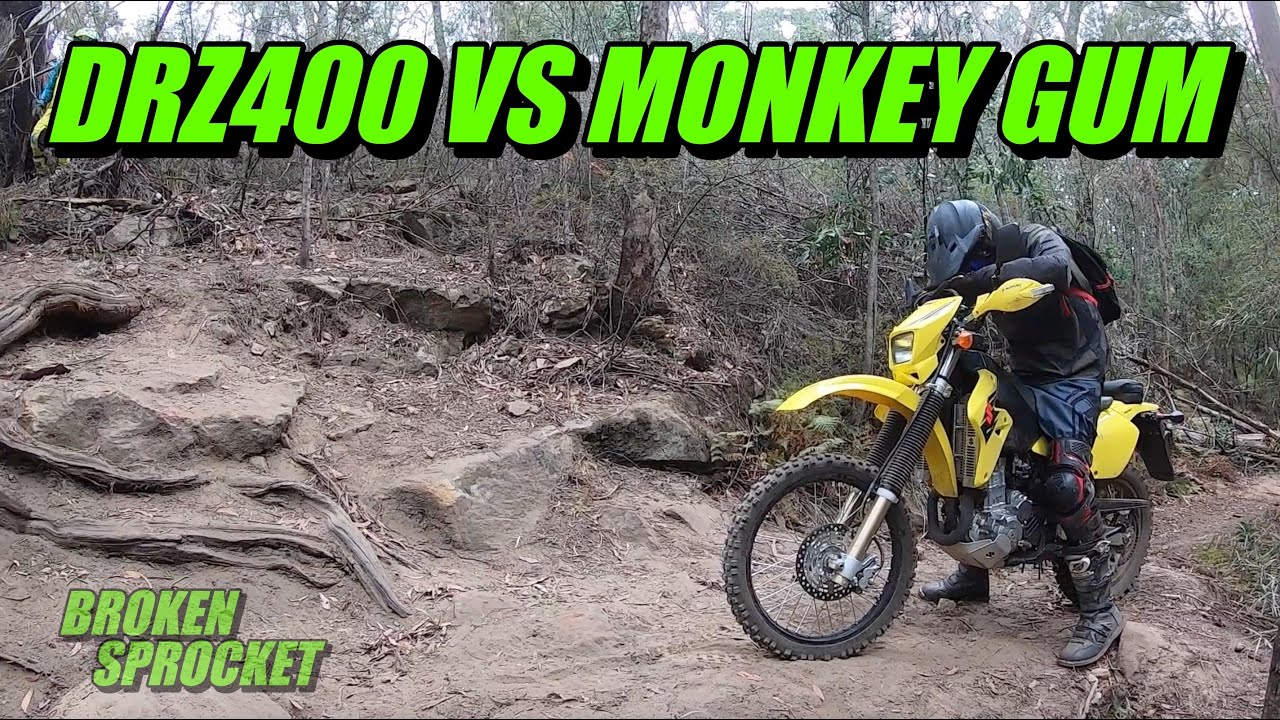 DRZ400 покоряет тропу Monkey Gum Fire Trail