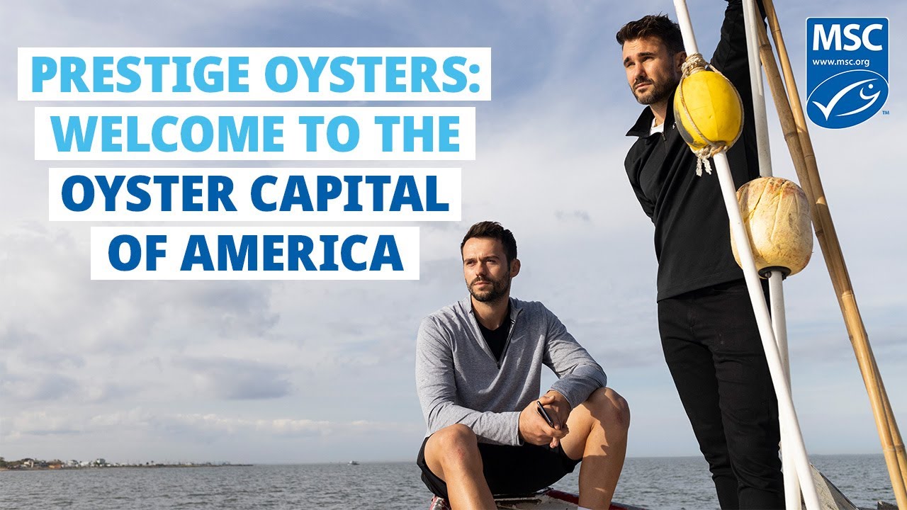 For this family-run oyster fishery, MSC certification is only one part of their sustainability story