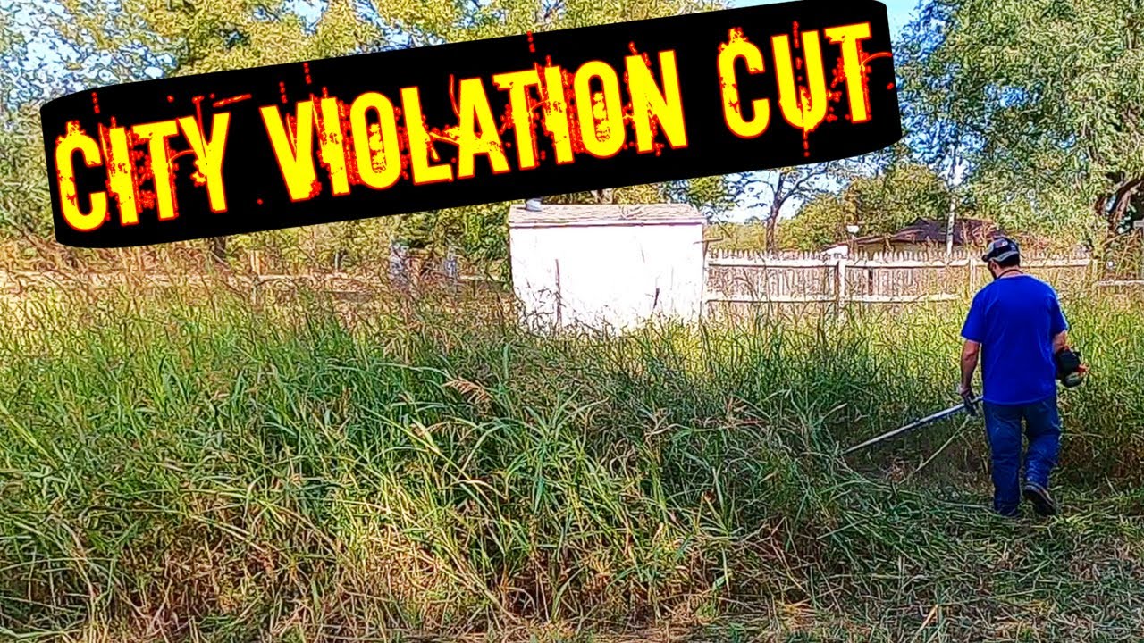 😱 WAIST HIGH GRASS CUT USING A WEEDEATER 😱 OVERGROWN! CITY VIOLATION CUT