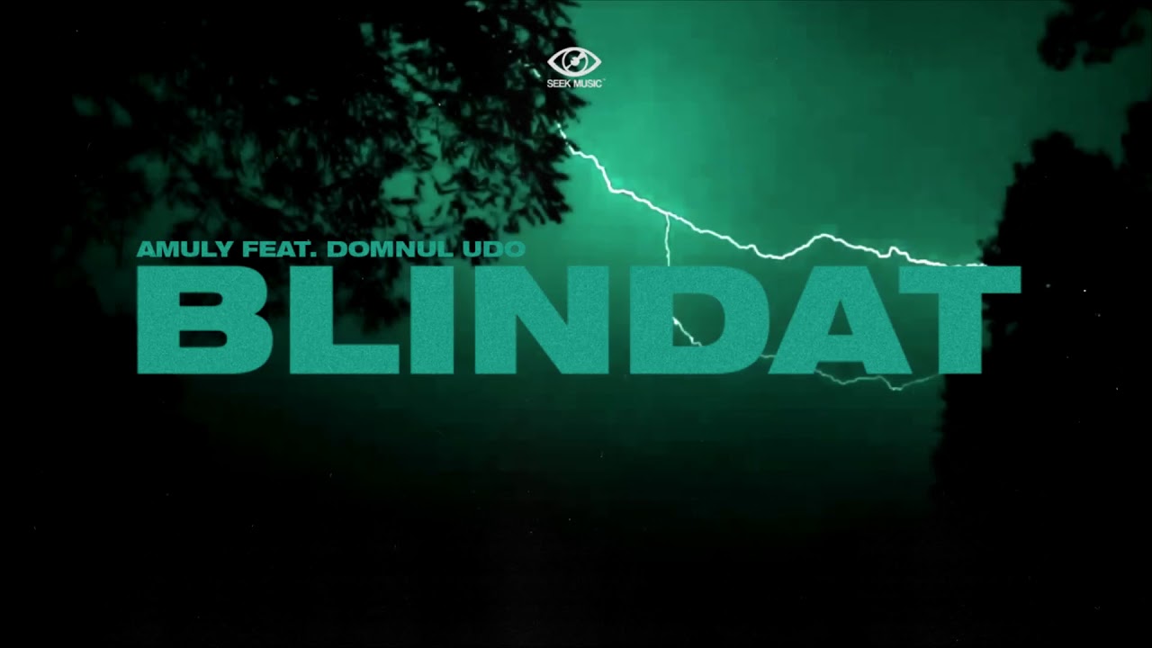 Amuly - Blindat feat. Domnul Udo (Audio)