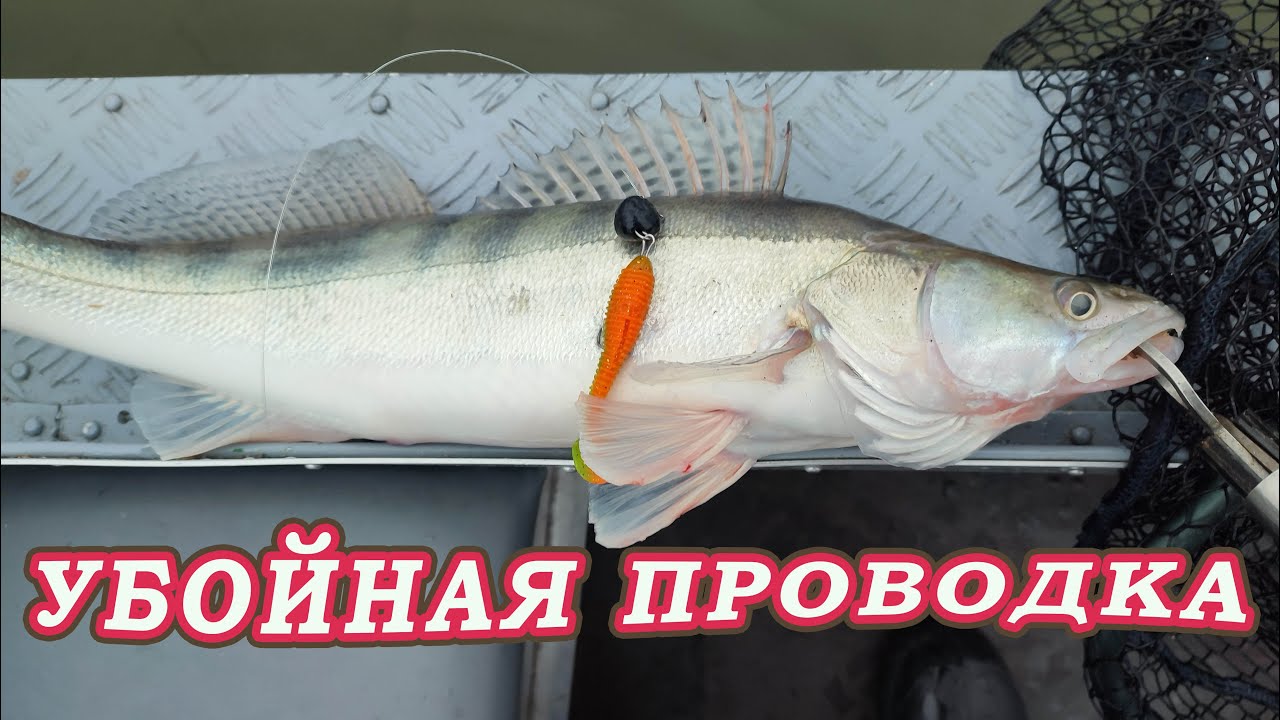 Подглядел ПРОВОДКУ у МЕСТНЫХ и Наловил Ведро СУДАКА!