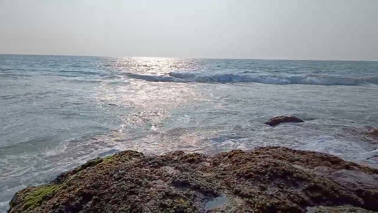 Surathkal Beach 2024: A Scenic Tour of Karnataka's Hidden Gem
