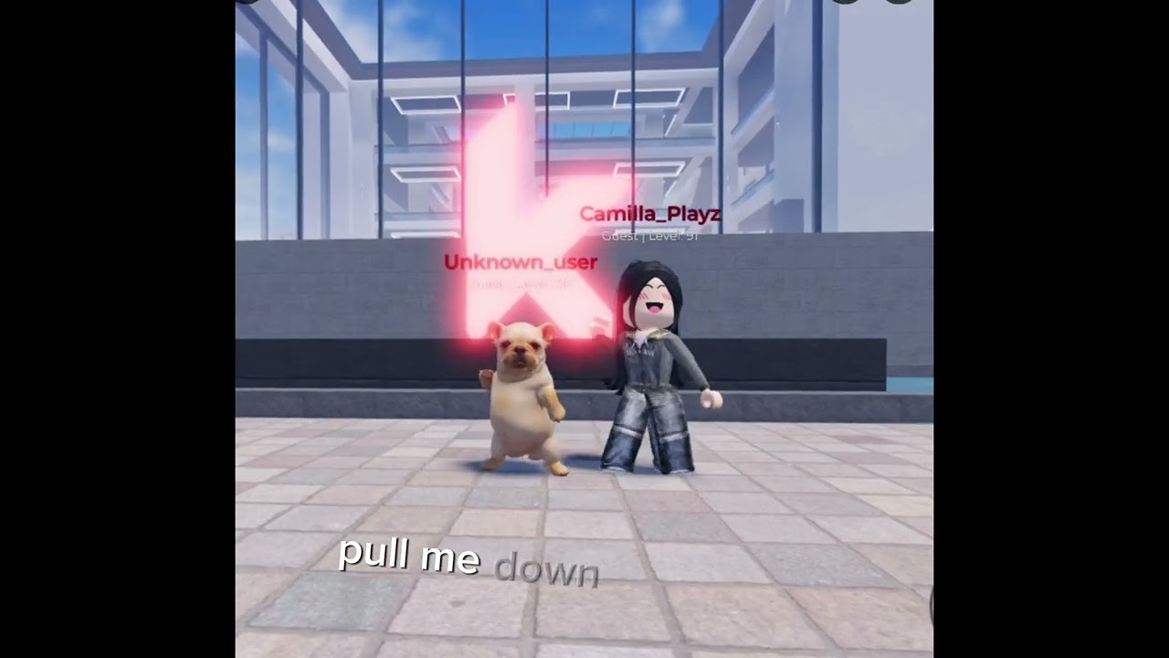 Soda pop | Pibble version |