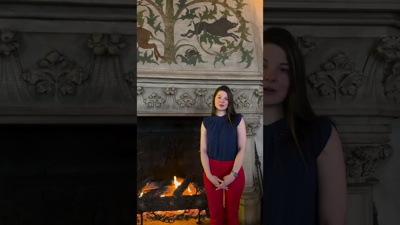 The Tapestry Gallery Fireplaces | Biltmore