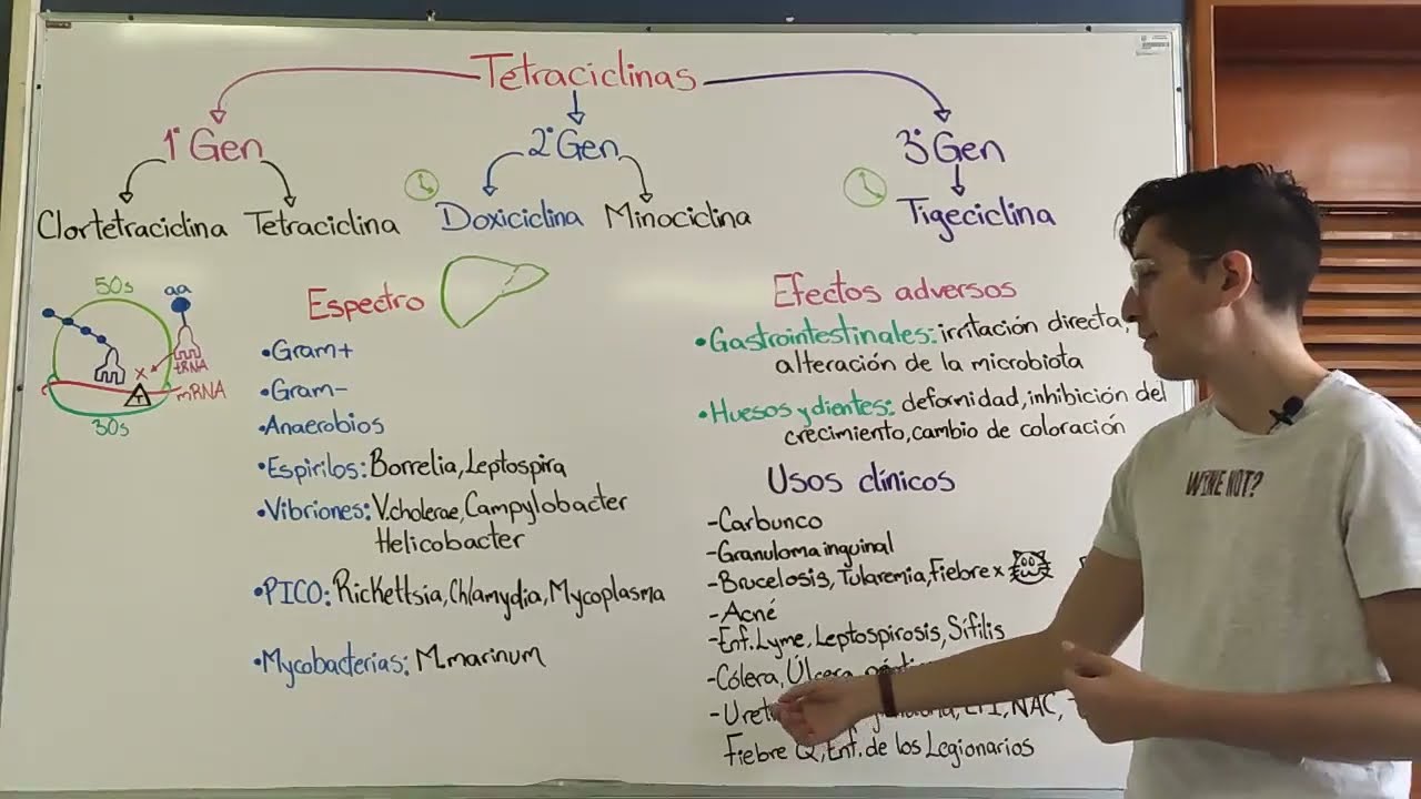 Antibióticos 9 Tetraciclinas