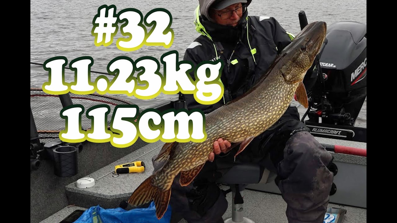 Gädda 10kg+ del 32, 11.23kg
