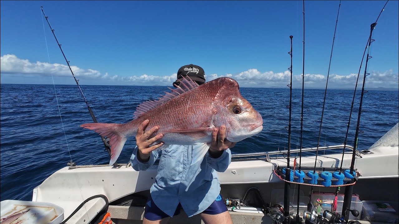 BIG SNAPPER IN THE SHALLOWS!! |Port Stephens|