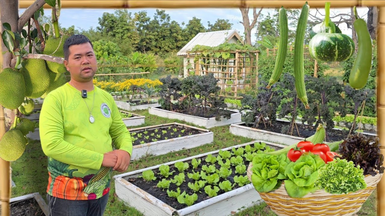 เนรมิตรพื้นที่ข้างบ้าน ให้กลายเป็นสวนผักออร์แกนิค ปลูกผักหลายหลาย สร้างรายได้จนต้องลาออกจากงานประจำ
