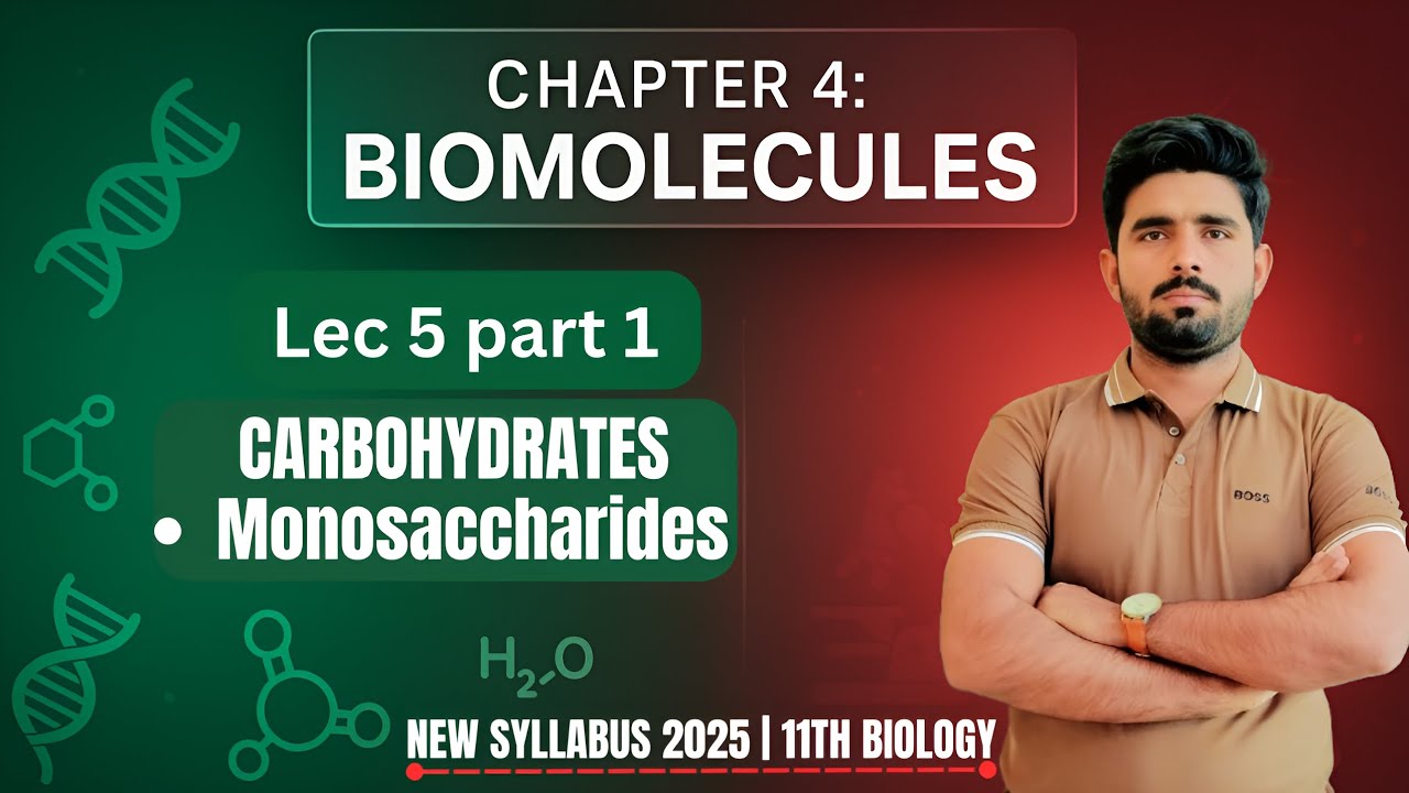 CARBOHYDRATES | Monosaccharides | Classification of Carbohydrates | 11th class biology new syllabus