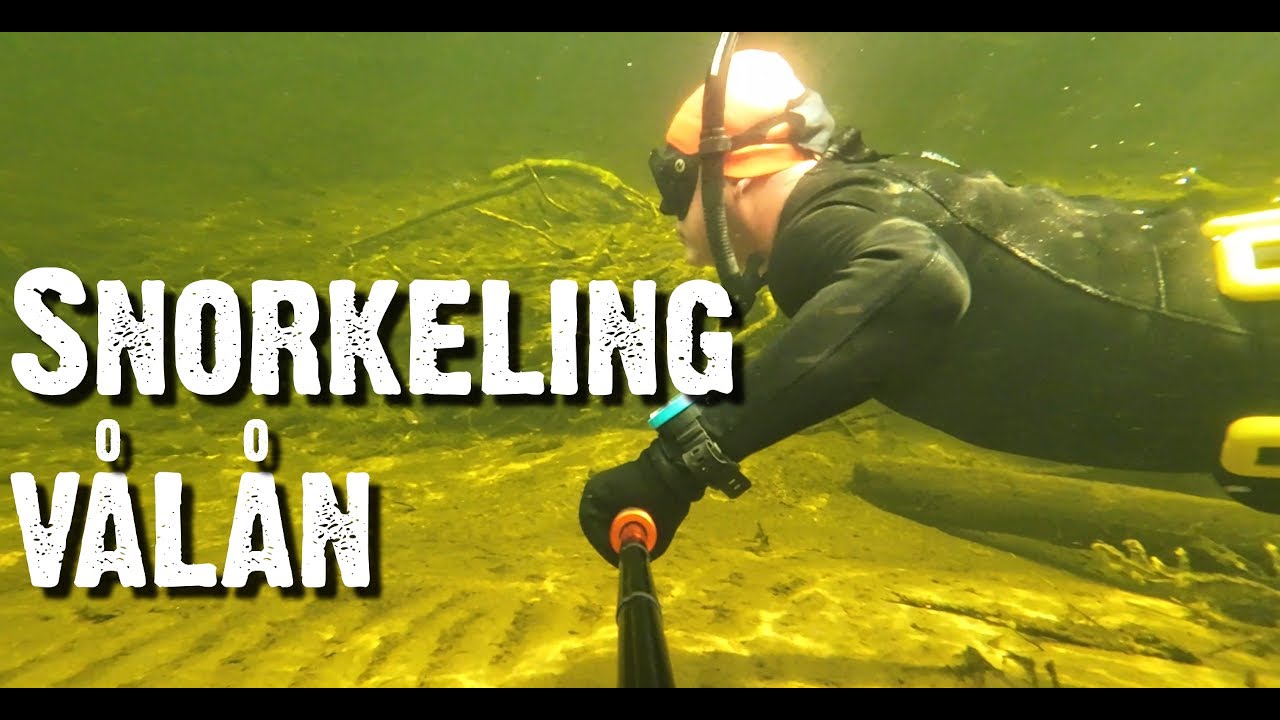 Snorkeling Vålån (Creek)