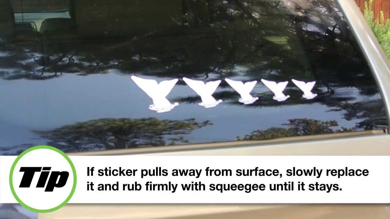 How To Install Whale Family Stickers