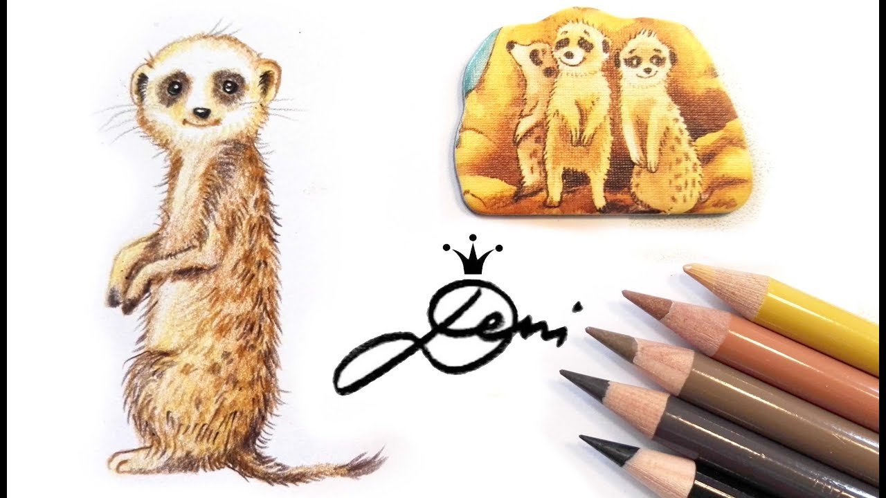 Erdmännchen zeichnen lernen 🐿 How to Draw a Meerkat or Suricate 🤭 Kак се рисува Сурикат