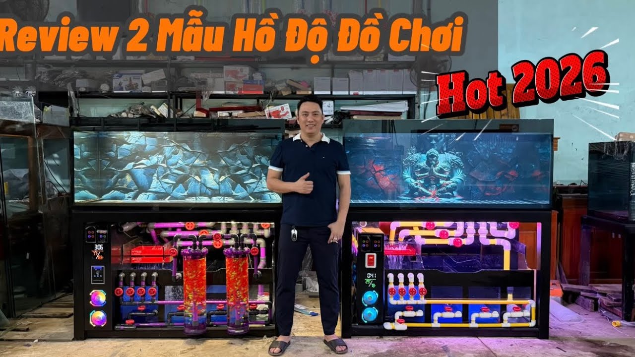 Mẫu Hồ Đang Được AE quan tâm nhất - Độ Đồ Chơi Sử Dụng Hiệu Quả 