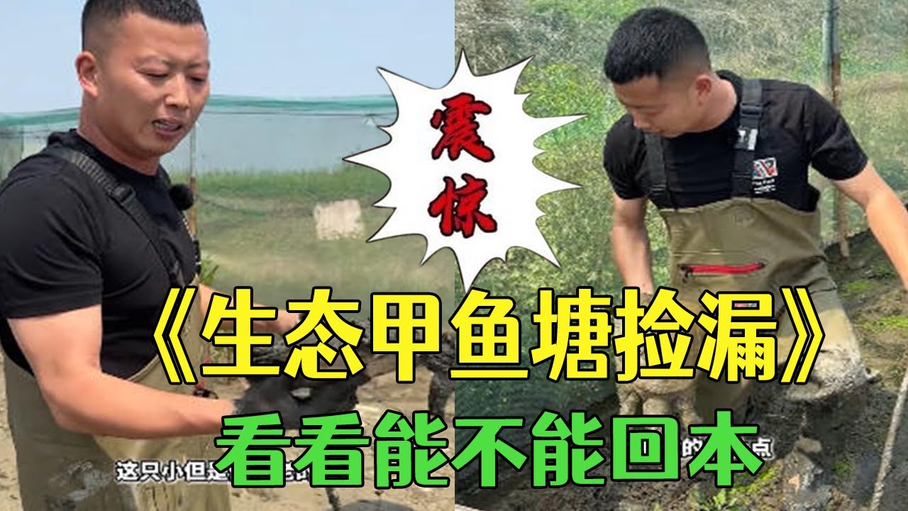 在生態甲魚塘撿漏，看看能不能回本#戶外#抓魚#三農 #小飛哥 #我要上熱門 #包塘