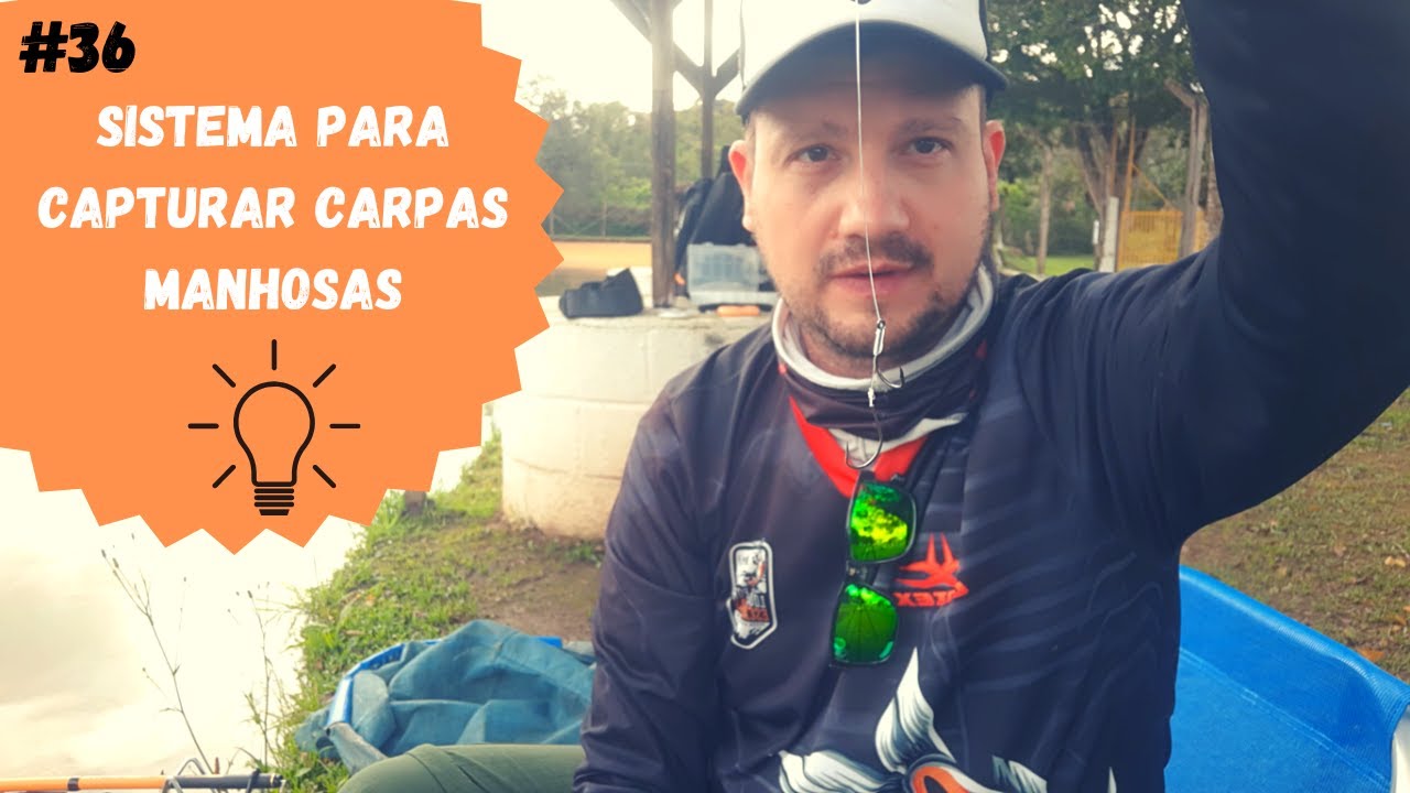 Sistema para pescaria de carpas manhosas